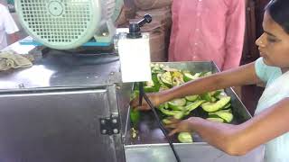 Raw Mango Cutting Machine (500) - Contact Interpack @ +91-9422016092