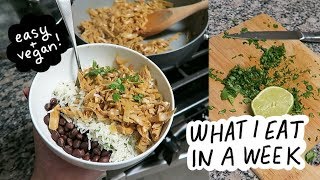 What I Eat in a Week (easy and vegan recipes)