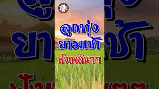 สวยครบสูตร | สุขสันต์ วันสว่าง #shorts #ฟังเพลง #เพลงเพราะ #เพลงดัง #ลูกทุ่ง #เพลงฮิต #เพลงเก่า