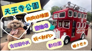 【移居日本】cocoa cola 移居大阪系列  大阪 天王寺公園(領養後變小公主👸)