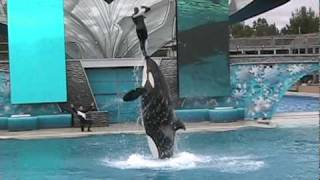 Corky, Nakai, Kasatka - Believe Share the Joy Part 2 (May 2006)