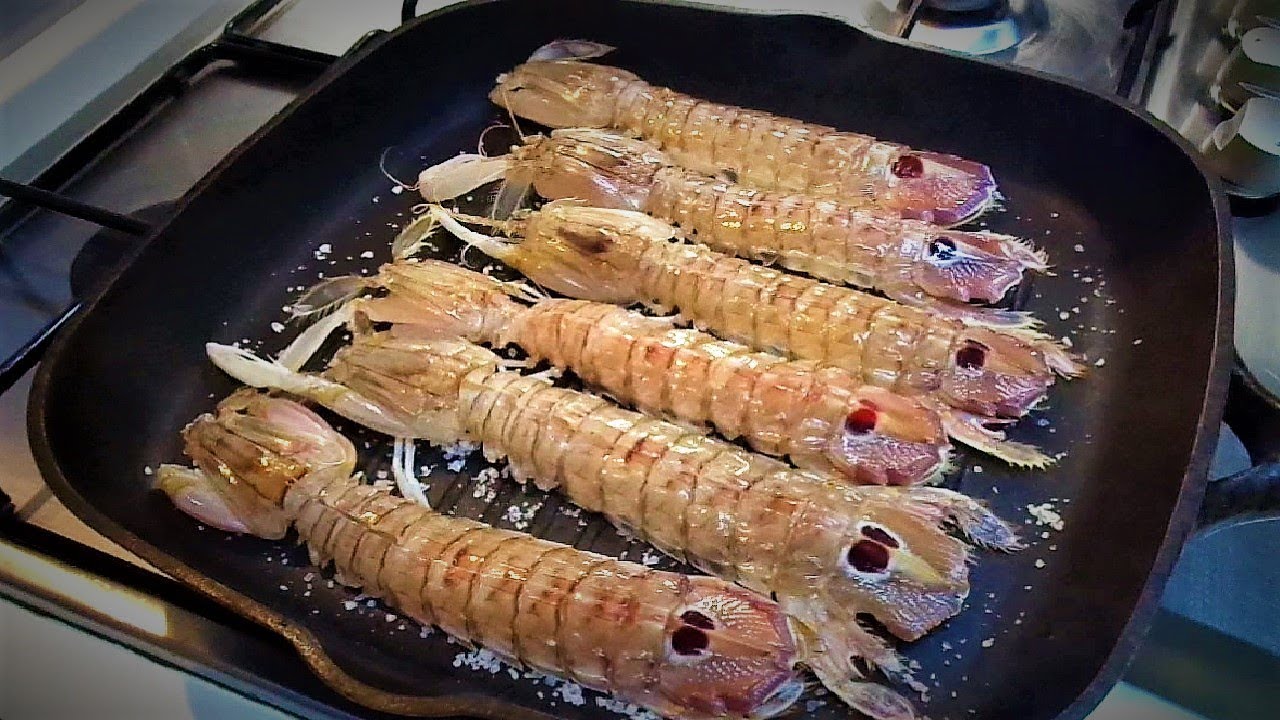 Mantis Shrimp Italy At Jeanne Phillips Blog