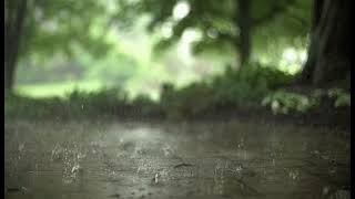 the Symphonie of the rain