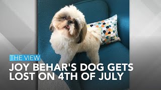 Joy Behar's Dog Gets Lost On 4th Of July | The View