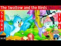 The Swallow and the Birds - Read Aloud Books