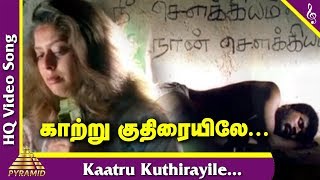 Kadhalan Tamil Movie Songs | Kaatru Kuthirayile Video Song | Sujatha Mohan | AR Rahman