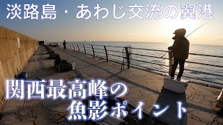 【釣り場動画#120】関西最高峰の魚影を誇る釣りポイント淡路島の翼港、ノマセで青物からサビキで良型アジ、大サバ、ショアジギングもエギングもいける超絶ポイント