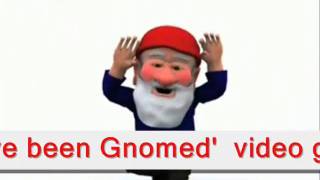 youve been gnomed.wmv