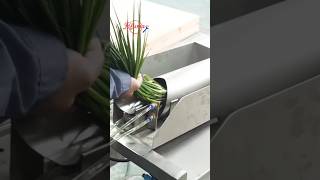 Green onion peeler scallion peeling machine sweetcorn silk removing #greenonion