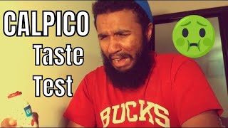 CALPICO Taste Test!!!