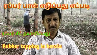 Rubber tapping in kerala /ரப்பர் பால் எடுப்பது எப்படி