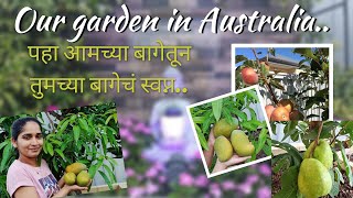 Our Garden in Australia ll आमची ऑस्ट्रेलिया मधील बाग II Marathi Vlog in Australia