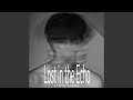 Lost in the Echo