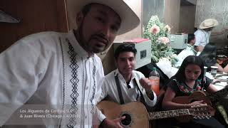 Los Jilgueros de Cerritos y Juan Rivera (Chicago -  4/2019)