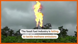 'No excuse' for high methane emissions, says IEA