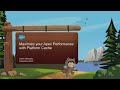 Maximize Your Apex Performance with Platform Cache