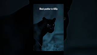 Black Panther 🥵 #viral #trending #shortsvideo #youtubeshorts #blackpanther