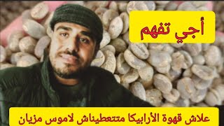 علاش قهوة الأرابيكا متتعطيناش لاموس مزيان ؟ 👈  الأسباب 😲