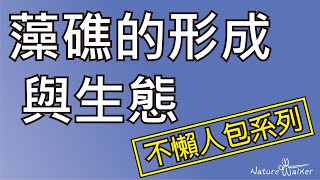 藻礁是什麼？為什麼要公投？無法用懶人包告訴你的事情，就讓我們試著講清楚吧。大潭藻礁與第三天然氣接收站 Part I【NatureWalker-不懶人包系列】