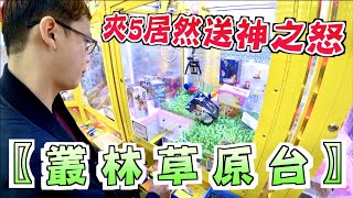 【Kman】叢林草原台！夾5居然送神之怒！[台湾UFOキャッチャー claw machine  catcher 인형뽑기  夾娃娃]