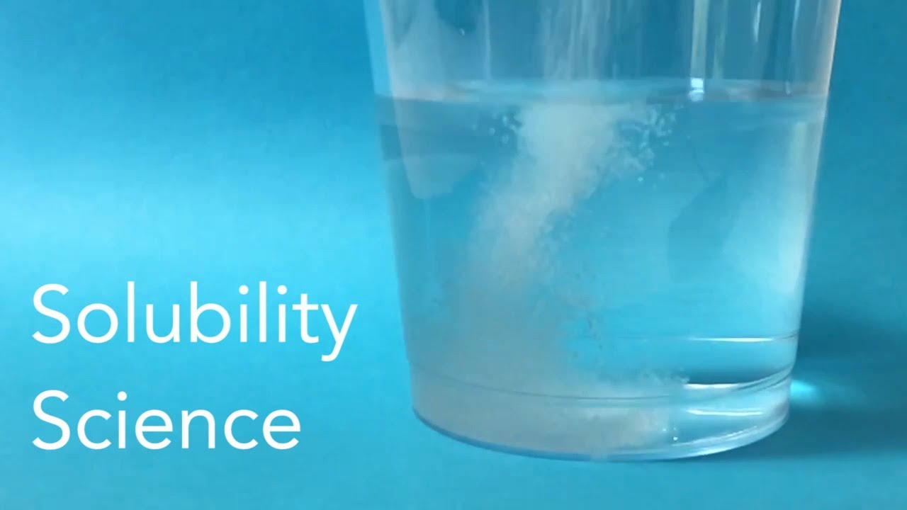 Solubility Science Stem Activity Youtube
