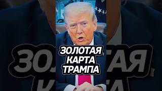 Новый способ попасть в США! #трамп #выборысша