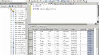 SQL2008DevVol3 Lab4 2 CustomDataTypesGoodVideo