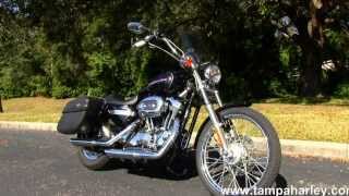 Used 2004 Harley-Davidson XL1200C Sportster 1200 Custom for sale