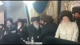 Machnovka Rebbe Dances With The  Sanz Zmigrad Rebbe At His Wedding  - Tammuz 5783