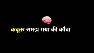 कौवा अर कबुतर कि कहाणी || Funny kahani kabutar ki /best kahani कौवा #kahaniyan