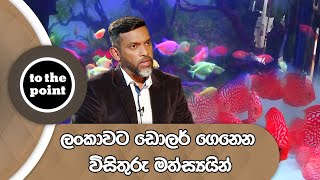 ලංකාවට ඩොලර් ගෙනෙන විසිතුරු මත්ස්‍යයින්