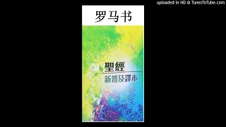 （新普及译本圣经）06 罗马书 9-12章