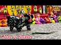 Lion vs Snake - 2023 New Year's Day Lion Dance Performance in Hong Kong 世界龍獅日 龍獅節 舞獅表演 4K