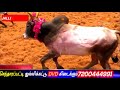 செந்தாரப்பட்டி ஜல்லிக்கட்டில் துல்லா பாய்ஸ் காளை sentharapatty jallikattu