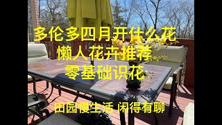 多伦多四月开什么花