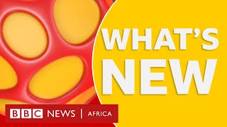 BBC Africa: Tour of Mbabane and learning about culture in eSwatini plus more - BBC What's New