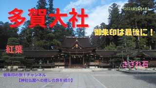 多賀大社に月参り！さざれ石・寿命石・紅葉《2021年12月4日》