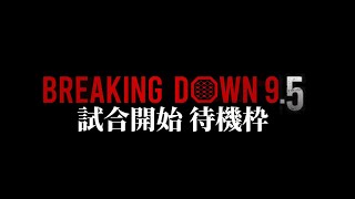 ついにBreakingDown9.5開催!! 待ちきれない人全員集合【ブレイキングダウン9.5】