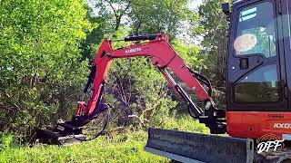 Brush Cutting Fence Lines with Mini Excavator!!