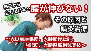 椅子から立ち上がると腰が伸びない！その原因と鍼灸治療～大腿筋膜張筋、大腰筋停止部、内転筋、大腿直筋刺鍼実技～ #腰痛 #大腰筋 #内転筋 #鍼灸