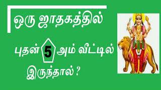 புதன் 5ம் வீட்டில் இருந்தால் ? MERCURY IN 5th HOUSE In TAMIL, BUDDAN IN 5th HOUSE in TAMIL #mercury