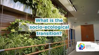 What is the socio-ecological transition?