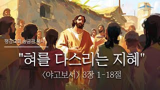 혀를 다스리는 지혜 / 야고보서 3장 1-12절 / 송금관 목사