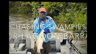 Chasing swamp Barra in the Wet Season  1080p