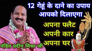 12 गेहूं के दाने का उपाय||Gehu ke dane ka upay||pandit pradeep mishra