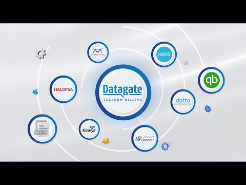 Datagate Telecom Billing Summary – Update 2024