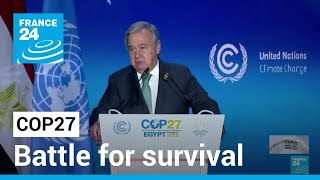 At COP27, climate change framed as battle for survival • FRANCE 24 English
