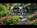 Relaxing Nature Video