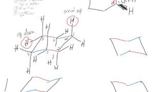 CHM 351 Chair Conformations Tutorial