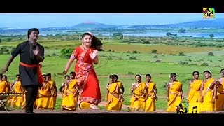 சும்மா நச்சுனு நாலு பாட்டு டப்பாங்குத்து தெம்மாங்கு பாடல்கள் || Themmangu Kadhal Padalgal # SONGS